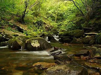 Fraga Do Eume فندق 3*